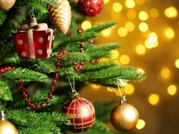 Воронежцы могут остаться без новогодней елки на площади Ленина