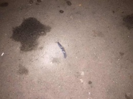 Поножовщина в Николаеве: двое мужчин и женщина дрались у подъезда - двое получили ножевые ранения (ФОТО)