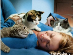 Почему кошкам нравится спать рядом с хозяевами?