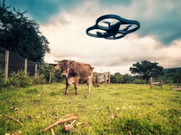 Пастушьи дроны: как «интернет вещей» помогает сельскому хозяйству