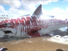 В Мексике нашли останки гигантской 18-метровой акулы