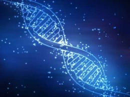 Созданы "наномышцы", приводимые в действие цепочками молекул ДНК