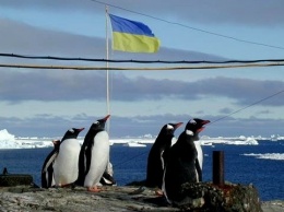 Украинцев заманивают в Антарктиду высокой зарплатой