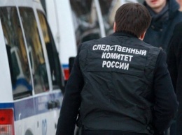 Водитель авто Mercedes. сбивший насмерть человека в Москве, стер отпечатки пальцев