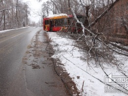 В Кривом Роге автобус слетел с дороги