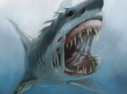 Ученые: В зубах вымершей акулы мегалодона нашли зубную пасту