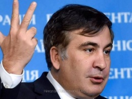 Саакашвили провел встречу с противниками назначения Гайдар