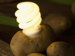 Как при помощи картошки зажечь лампочку