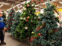 Эти оригинальные новогодние елки поражают воображение