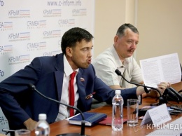 Стрелков поддержал Резяпова, идущего в депутаты Госсовета Крыма