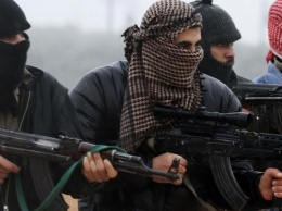 Манн: Иордания косвенно признала, что ИГИЛ вооружается американским оружием