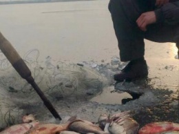 В Кременчуге задержали браконьера из соседней области