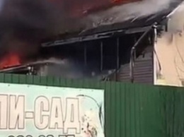 Житель Приморья спас шесть детей из пожара, пока остальные снимали на видео