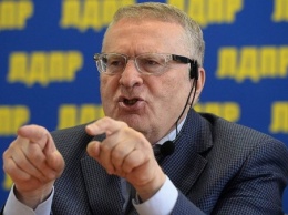 Жириновский призывает заменить слово "селфи" на "себяшка"