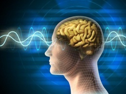 Найдена отвечающая за уникальность человеческого разума зона мозга