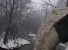 В Запорожье снег с мусором сбрасывают в реку (видео)