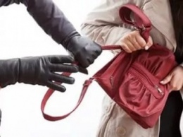 В Бердянске задержали рецидивиста, вырывавшего сумки у женщин