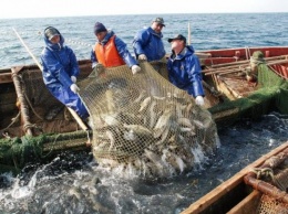 Размер имеет значение. В Украине готовят революцию для рыбаков