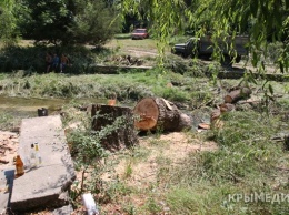 В Симферополе спилили 40 аварийных деревьев в русле Салгира (ФОТО)