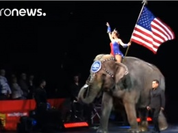 Слонов - на пенсию. В США защитники прав животных закрыли старейший в стране цирк