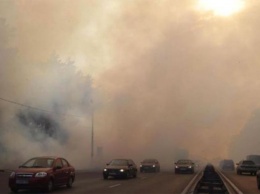 Соцсети на ушах: Киев окутал январский смог