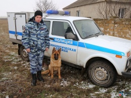Служебная овчарка по кличке Юта помогла оперативно задержать опасного злоумышленника в Крыму (ФОТО)