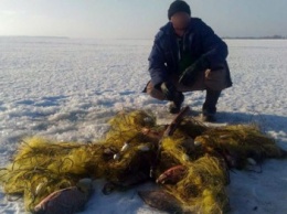 Любитель зимней рыбалки при помощи сетей ловил рыбу на охраняемой Законом территории (ФОТО)