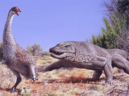 Люди истребили всех гигантских животных в Австралии - ученые