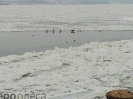 Одесской области грозит наводнение из-за ледохода на Дунае