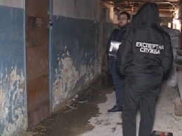 Убийство адвоката в Киеве: появилось видео с места преступления