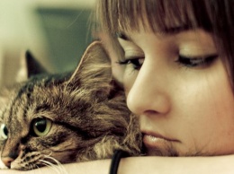 Ученые: Кошки провоцируют ПМС у женщин