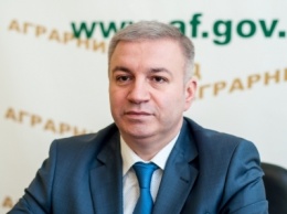 Радченко рассказал, почему Аграрный фонд не заинтеерсует инвесторов