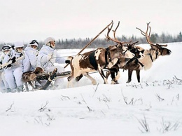 Военные РФ готовятся воевать в Арктике - уже запрягли собак и оленей