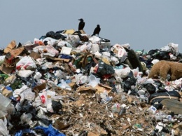 Львовский мусор в течение 7 дней будут вывозить в четыре города Украины