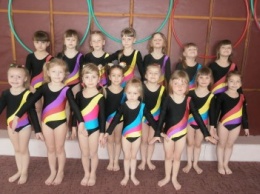 ДЮСШ Доброполья приглашает добропольских детей на занятия спортивной гимнастикой