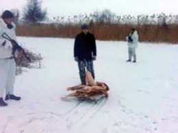 Контрабандисты из Украины пытались ввезти мясо в Россию на санках