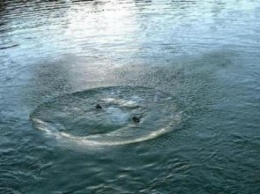 В Воронежской области мужчина утонул в пруду, пытаясь спасти подростка