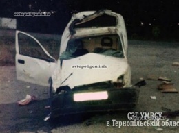 ДТП на Тернопольщине: Opel Combo врезался в столб - погибла женщина. ФОТО