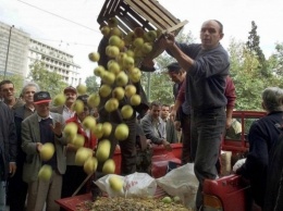 Фермеры ЕС потеряли €5,5 млрд из-за торгового эмбарго России