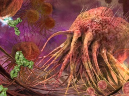 Биологи выяснили, как раковые клетки начинают гулять по организму