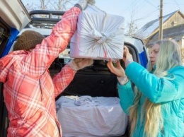 400 летучих мышей, спасенных запорожской зоозащитницей, отвезут в Харьков
