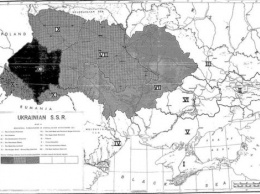 Архивы ЦРУ: США готовили антисоветские операции в Украине