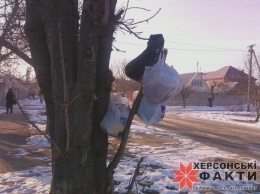 Фотофакт. В Херсоне мусорки устраивают даже на деревьях