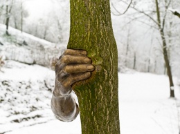 В 1968 году бронзовую скульптуру прикрепили к дереву. Вот как оно выглядит сейчас