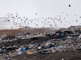 В Славянске подорожает вывоз мусора