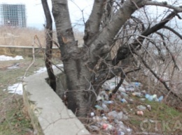 За зиму на прибрежных склонах собрались кучи мусора