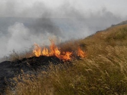 40 га сухой травы горит в Николаевской обл