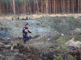 Как под прикрытием госкомпании-банкрота "УкрБурштын" легализуют тонны янтаря