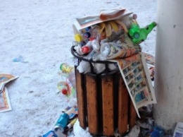 Переполненная мусором урна обошлась криворожскому предпринимателю в тысячу гривен