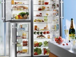 Холодильник – необходимый атрибут современного быта